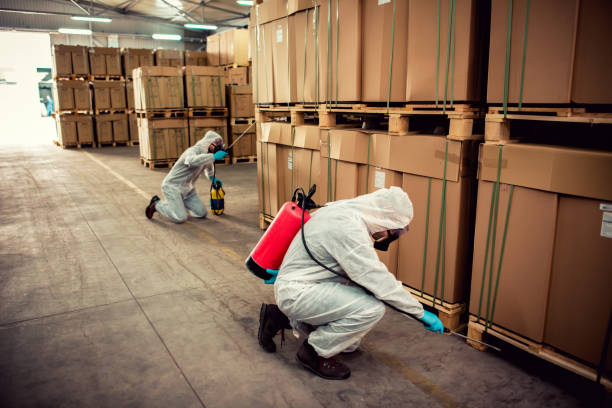Best Exterminator Services  in Noyack, NY