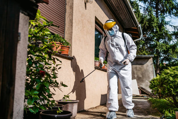 Best Best Pest Control Companies  in Noyack, NY