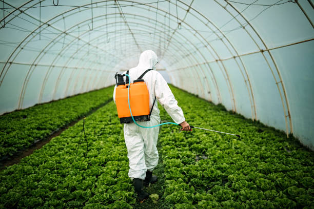 Best Pest Inspection Near Me  in Noyack, NY