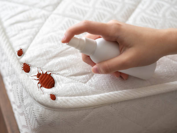 Best Pest Prevention Services  in Noyack, NY