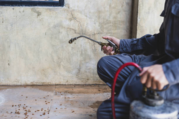 Pest Prevention Services in Noyack, NY