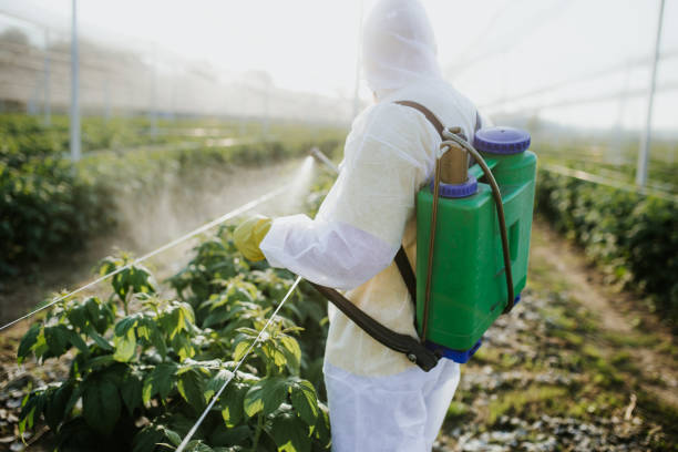 Best Pest Removal Services  in Noyack, NY